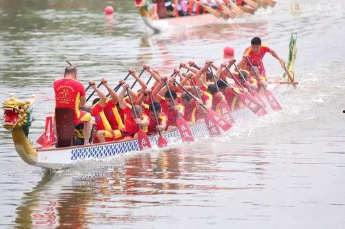 2017年划龙船视频,传统赛事的精彩瞬间回顾