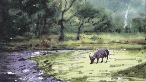 风景水彩画视频教程,跟随教程轻松掌握自然之美