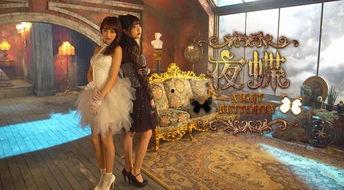 夜蝶视频,揭秘光影交织下的梦幻世界