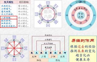 周易教学视频,揭秘古老智慧的奥秘与应用
