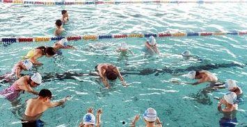 刚学游泳视频教程