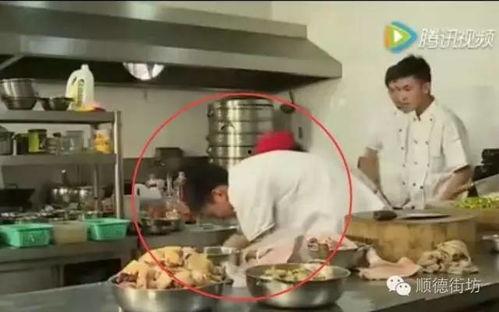 蛇头咬死厨师视频,蛇头咬死厨师，现场惊心动魄