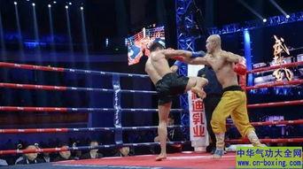 一龙功夫表演视频,震撼视觉的中华武术盛宴