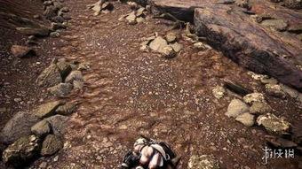 揉虐视频,情感与力量的交织