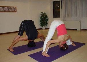 美体瑜伽视频,解锁身心和谐之美