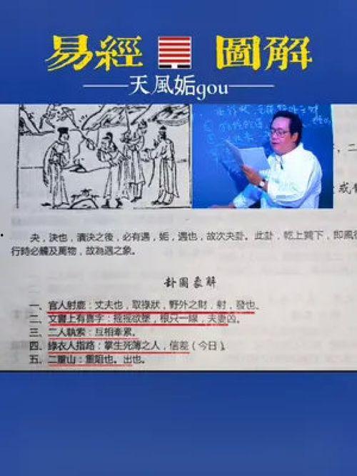 倪海厦天纪视频,揭秘中医养生智慧与生命奥秘