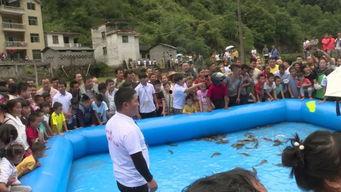 摇摇桥视频,挑战极限的人体力学之旅