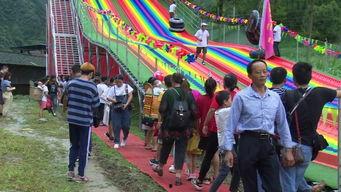 摇摇桥视频,挑战极限的人体力学之旅